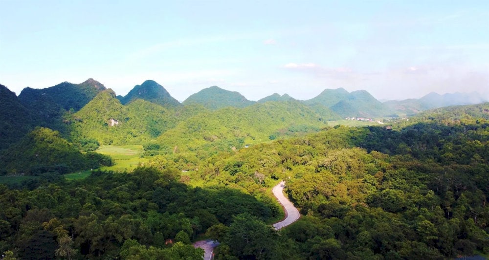 Cuc Phuong National Park – the oldest national park in Vietnam